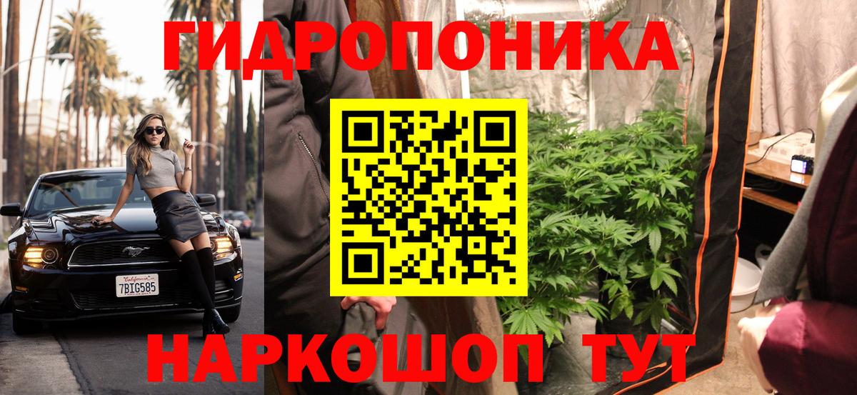 Шишки марихуана Bruce Banner  Вход с VPN  МАРИХУАНА Bruce Banner  Костомукша  МАРИХУАНА ГИДРОПОН 